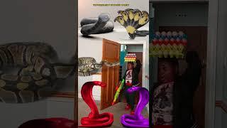 2025 Animal funny video Anaconda snake python in my house in real life bhoot wala usa #bhojpuri #vfx