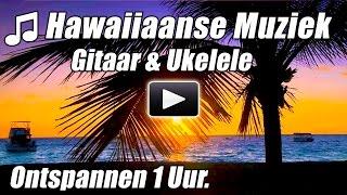 Hawaiiaanse Muziek Ontspannen Gitaar Ukulele Nummers Akoestisch Hawaii studie happy hour instrumenta