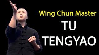 TU TENGYAO The Best - Wing Chun Master