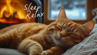 Calming music for Cats  Cozy Christmas Ambience no ads | Cat music for anxiety | Piano cat music