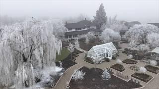 Our Frosty Winter Landscape. Enjoy! ️️ // Garden Answer