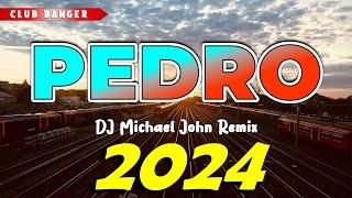 BEST OF CLUB BANGER REMIX 2024 - Pedro (Dj Michael John) TikTok Viral