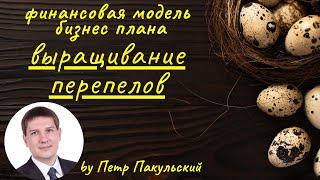 Бизнес-план фермы по разведению перепелов. Перепелиная ферма, как бизнес-идея. Бизнес на перепёлках.