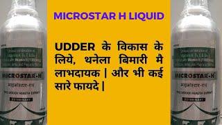 Microstar H Liquid | Udder Health Expert | Animal Feed Supplement Benefits