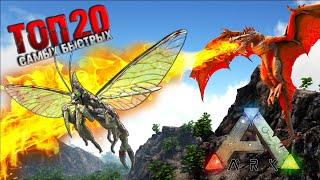 ТОП 20 Самых Быстрых Летунов в ARK: Survival Evolved I Гайд по скорости