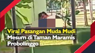 Viral Pasangan Muda Mudi Mesum di Taman Maramis Probolinggo