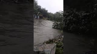 Telangana state Hyderabad city heavy rainfall floods 2020