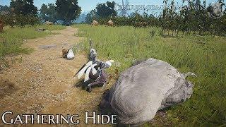 BDO Gathering: Hides