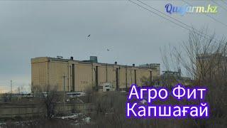 Комбикорм Агрофит Капшагай Конаев бройлер Арбор Айкрес Алель Агро