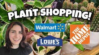 Home Depot, Walmart & Lowe's Plant Shopping!!  what's in stock in Tilton, NH! NEW HOYA?!