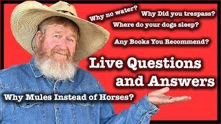 Lets Talk .. Questions Answered LIVE!!