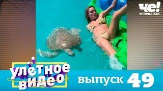 Улетное видео | Выпуск 49