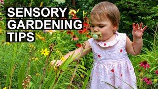 The Sensory Garden - Great for Kids! Smell, Touch, Look And Listen