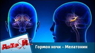 Гормон ночи - Мелатонин  | Доктор И