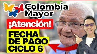 Exclusivo Inicia el Ciclo 6 de Pago de Colombia Mayor Confirmado por Prosperidad Social