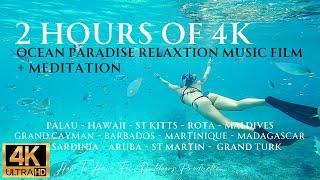 2HRS of 4K Ocean Paradise - Undersea Nature Relaxation Film + Meditation