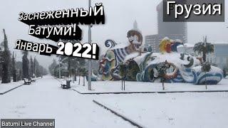 Заснеженный Батуми!Январь 2022 Снег в Батуми #батуми #грузия #снегГрузия Аджария