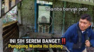 PLEASE.. INI MISTERIUS BANGET!! 30 TAHUN TERSEMBUNYI PILIH TINGGAL DI RUMAH TENGAH HUTAN BELANTARA