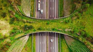 The Hidden Engineering of Wildlife Crossings