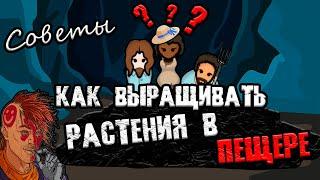 КАК ВЫРАСТИТЬ РАСТЕНИЯ В ПЕЩЕРЕ — СОВЕТЫ RIMWORLD