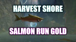 GW2 - Harvest Shore Salmon Run: Gold - Lowland Shore Adventure - Guild Wars 2 Janthir Wilds