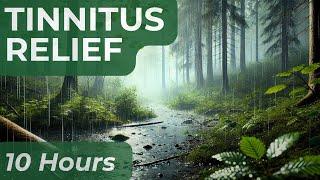 10 Hours Tinnitus Sound Therapy  | Rain in the Forest ️ | Sounds for Sleep & Tinnitus Relief