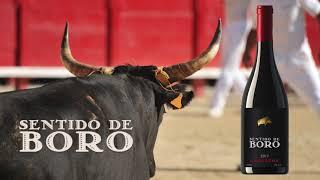 Sentido de Boro Garnacha Promo - Sal's Beverage World