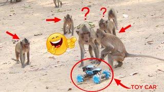 Prank Monkey vs Remote Car| So Much Funny Video Challenge 2021. Try Not  To Laugh.