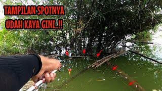 YAKIN PANEN‼️LIHAT TAMPILAN SPOTNYA UDAH KAYA GINI || mancing ikan red devil NAHOL MANIA