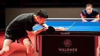 Ma Long & Chen Meng Training | Waldner Cup 2024