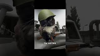 Рыболовные снасти | Escape from Tarkov #shorts