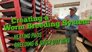 Building a Worm Breeding System from Scratch