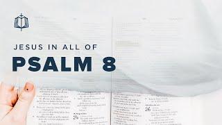 Psalm 8 | What is Mankind that You Are Mindful of Him? | Bible Study