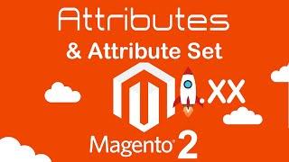 Magento 2.4 What is Attribute and Attributes Set? How to add Attributes and Attribute Set ib Magento
