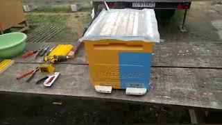 Как делать Отводки#пчеловодство#пасека#изоляцияматок#малыхин#миленин#пчёлы#зимовка2021.