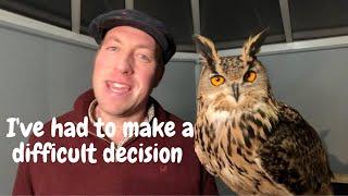 Olly the Eagle Owl has become too dangerous...I explain here