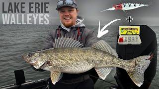TROLLING Technique Catches GIANT Lake ERIE Walleyes!!