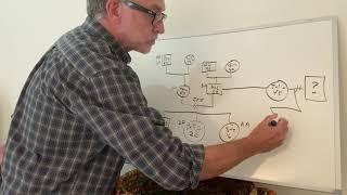 How to Draw a Genogram