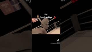 VBF-Eye of the Tiger