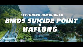 Exploring Dima Hasao | Birds Suicide Point | Places to Visit in Northeast | Drone shots