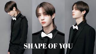 wang yibo 王一博 | [ FMV ] shape of you 
