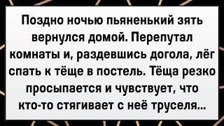 Как Зять Тёще Засадил! Сборник Свежих Анекдотов! Юмор!