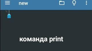 Python3.Команда print.