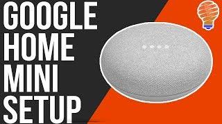 How to Setup The Google Home Mini