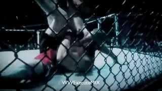 UFC  MMA Freestyle Its My Time .mp4