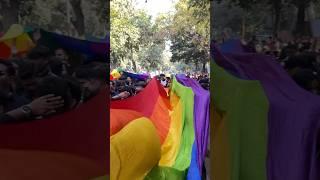 Delhi Queer Pride 2024 ️‍ #queer #gay #lgbt #lgbtq #gaypride #love #loveislove #pridemonth