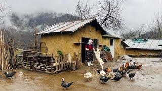 Rainy Day in Rural Life: Cooking Traditional Meatballs