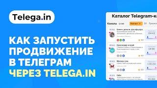 Как запустить продвижение в Телеграм через Telega.in