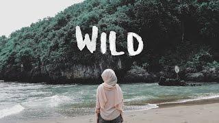 Wild (Sam Kolder Inspired)