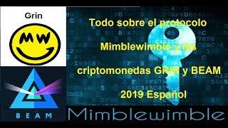 MIMBLEWIMBLE Todo sobre el protocolo Mimblewimble y las criptomonedas GRIN y BEAM 2019 Español